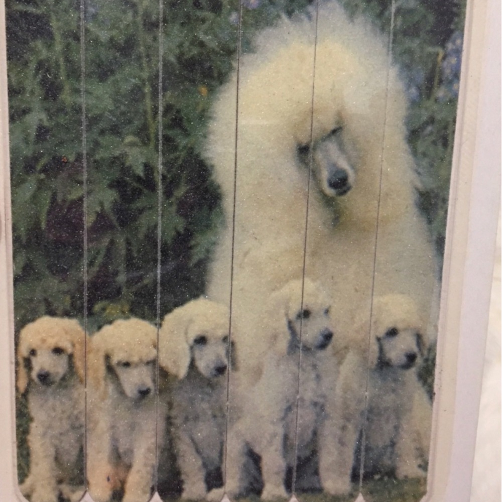 New Vintage Poodle Dog Puppies 6 Pc Nail Files